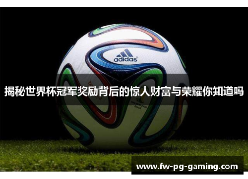 揭秘世界杯冠军奖励背后的惊人财富与荣耀你知道吗 揭秘世界杯冠军奖励背后的惊人财富与荣耀你知道吗