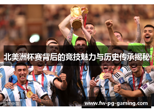 北美洲杯赛背后的竞技魅力与历史传承揭秘